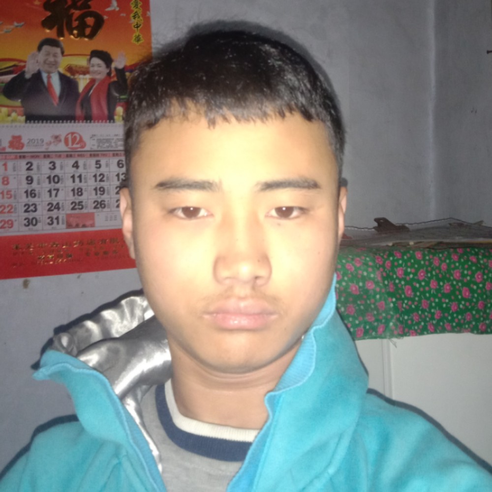 动听迎长颈鹿的照片