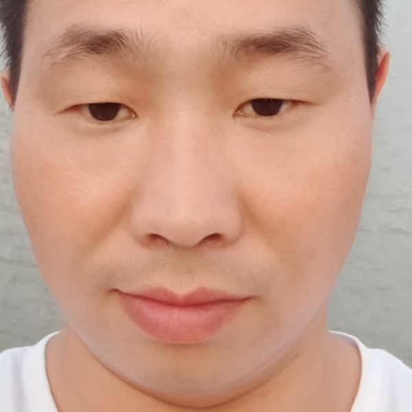 勤恳回眸小刺猬的照片