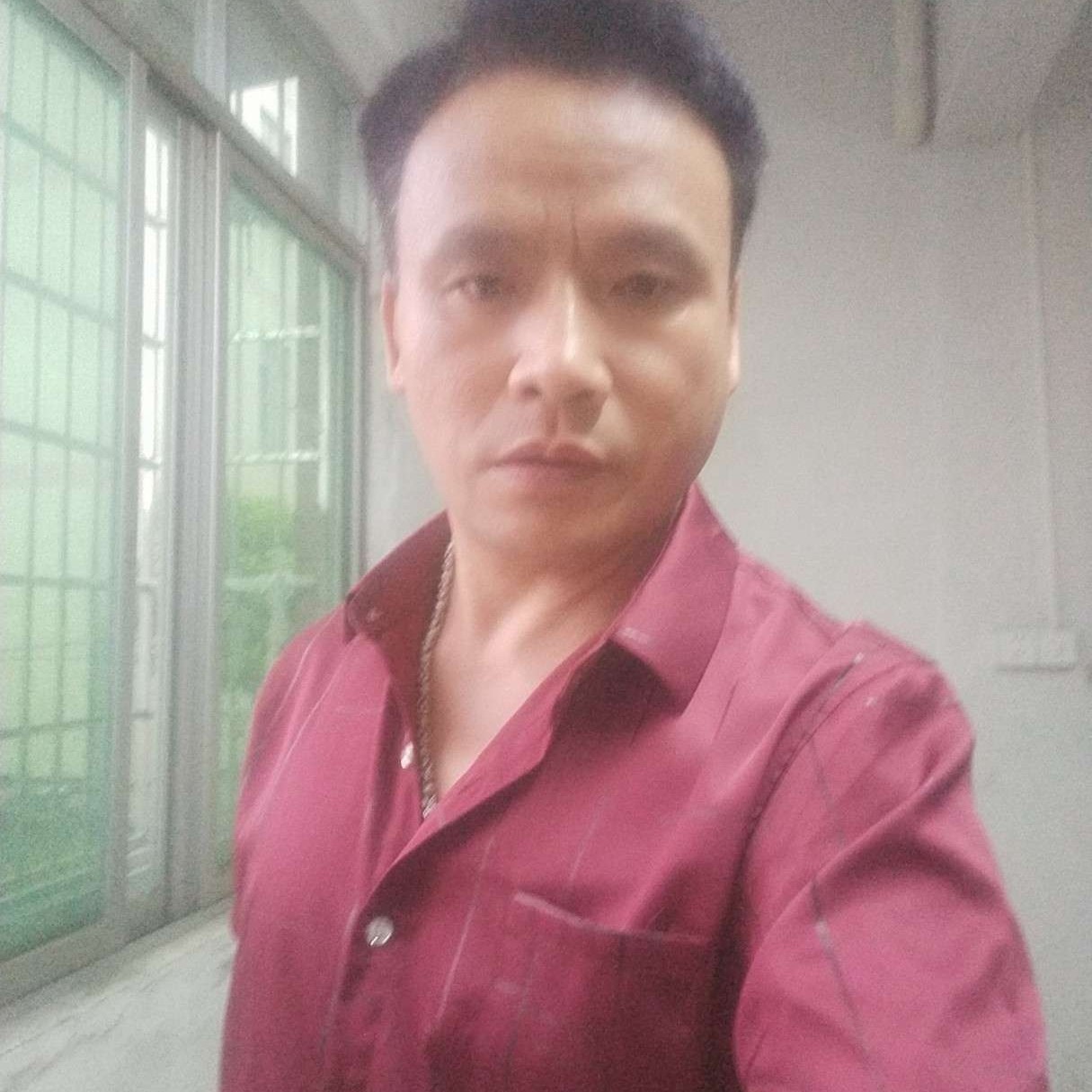 无情用小海豚的照片