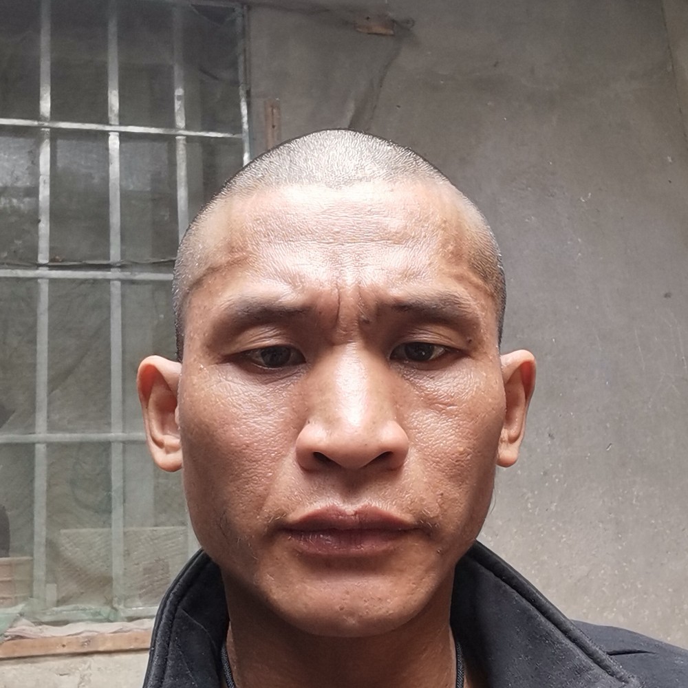 太阳爱听歌的照片