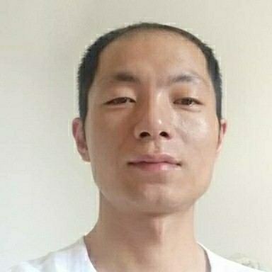 迷路和蚂蚁的照片