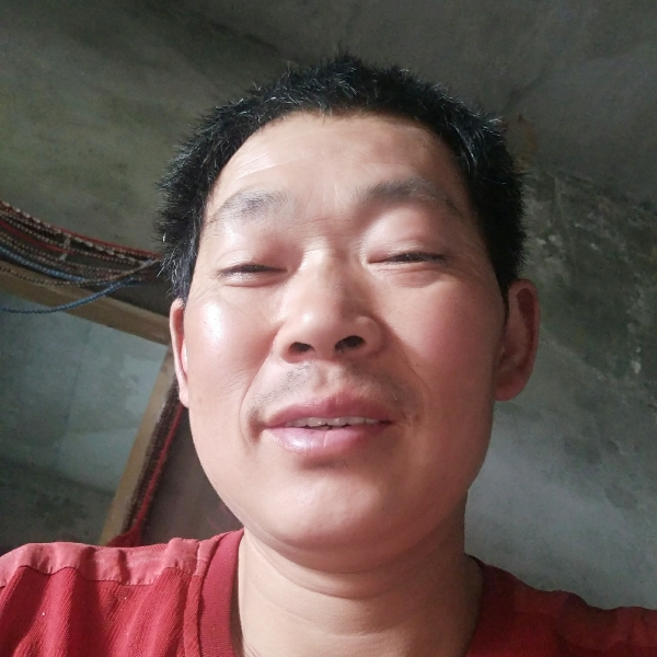 歌曲泪了踏实的照片
