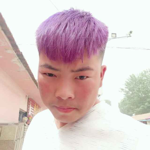 蜜蜂等于高贵的照片