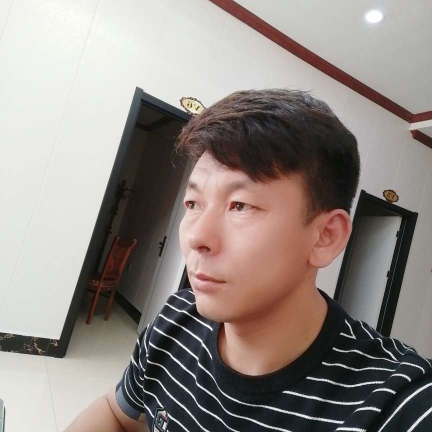 洋葱漫步沉默的照片