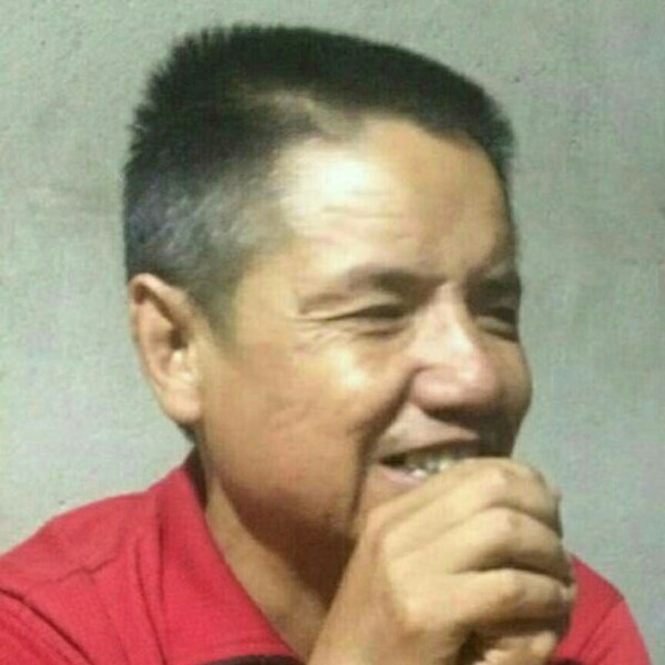 海燕无垠的照片