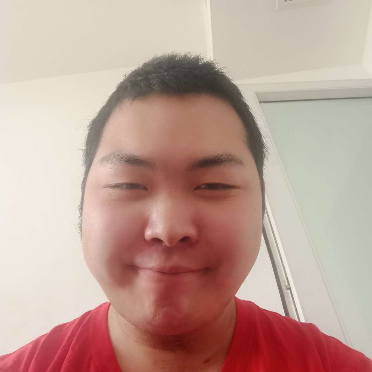 翅膀俏皮的照片