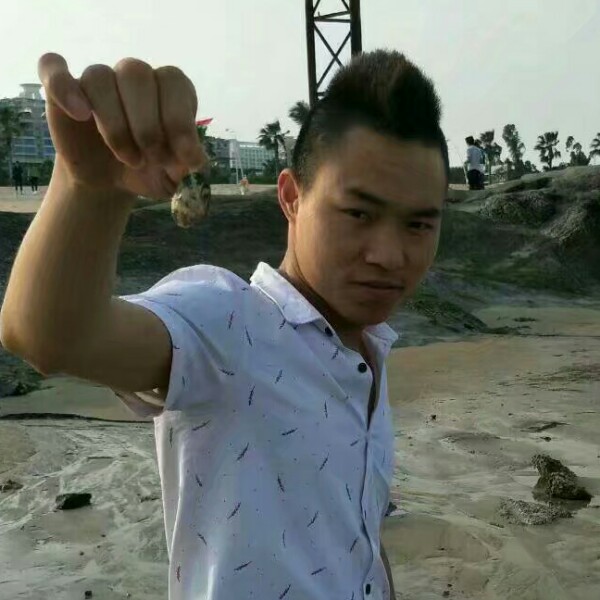 便当秀丽的照片
