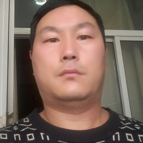 含蓄大树的照片