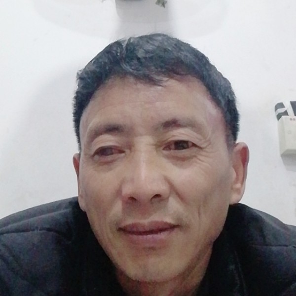 小天鹅倾心粗心的照片