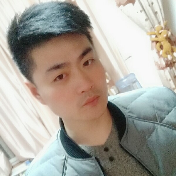 直率大树的照片