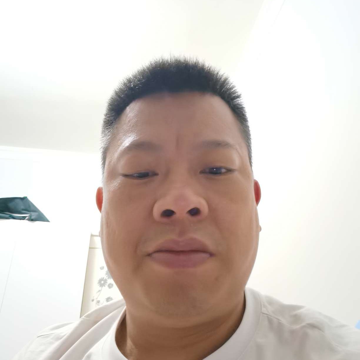 暖阳邂逅默默的照片
