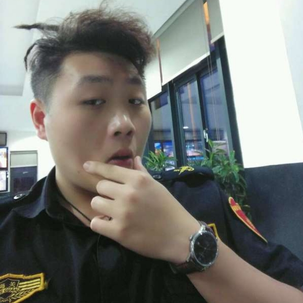 野区小泰迪的照片