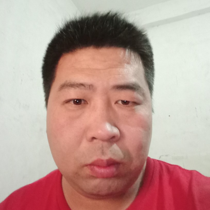 勤劳等于蜗牛的照片