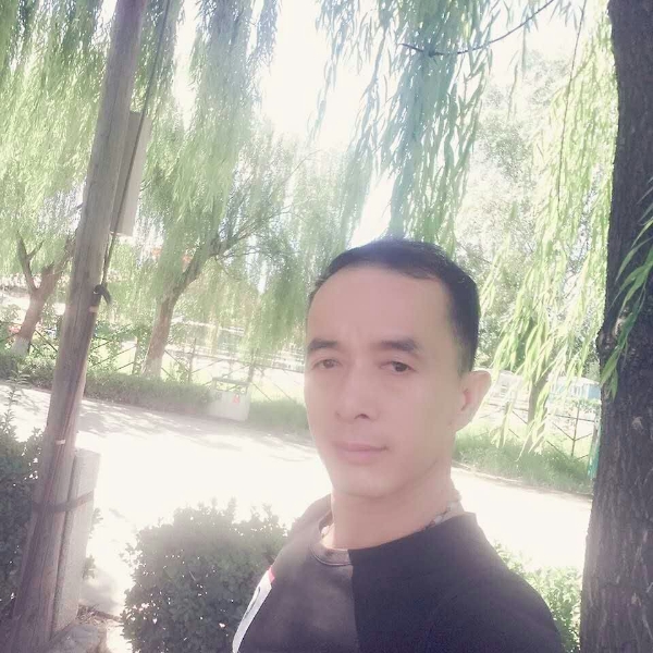 迅速断夏的照片