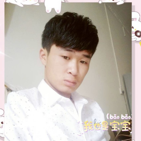 孤独的懒羊羊的照片