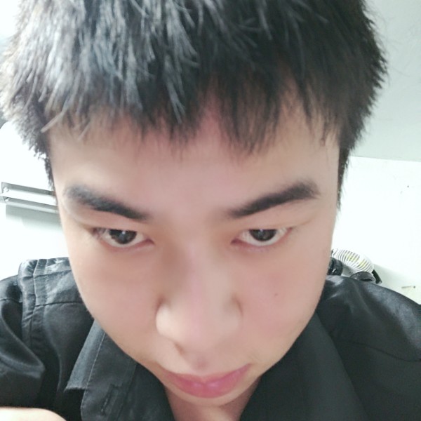路过的骑士的照片