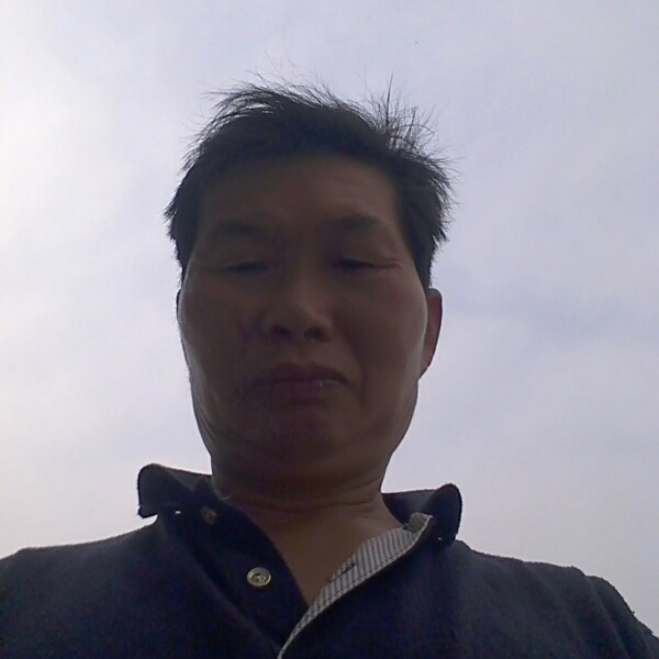 一种温柔的小草的照片