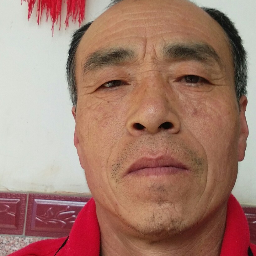无心迎暖光的照片