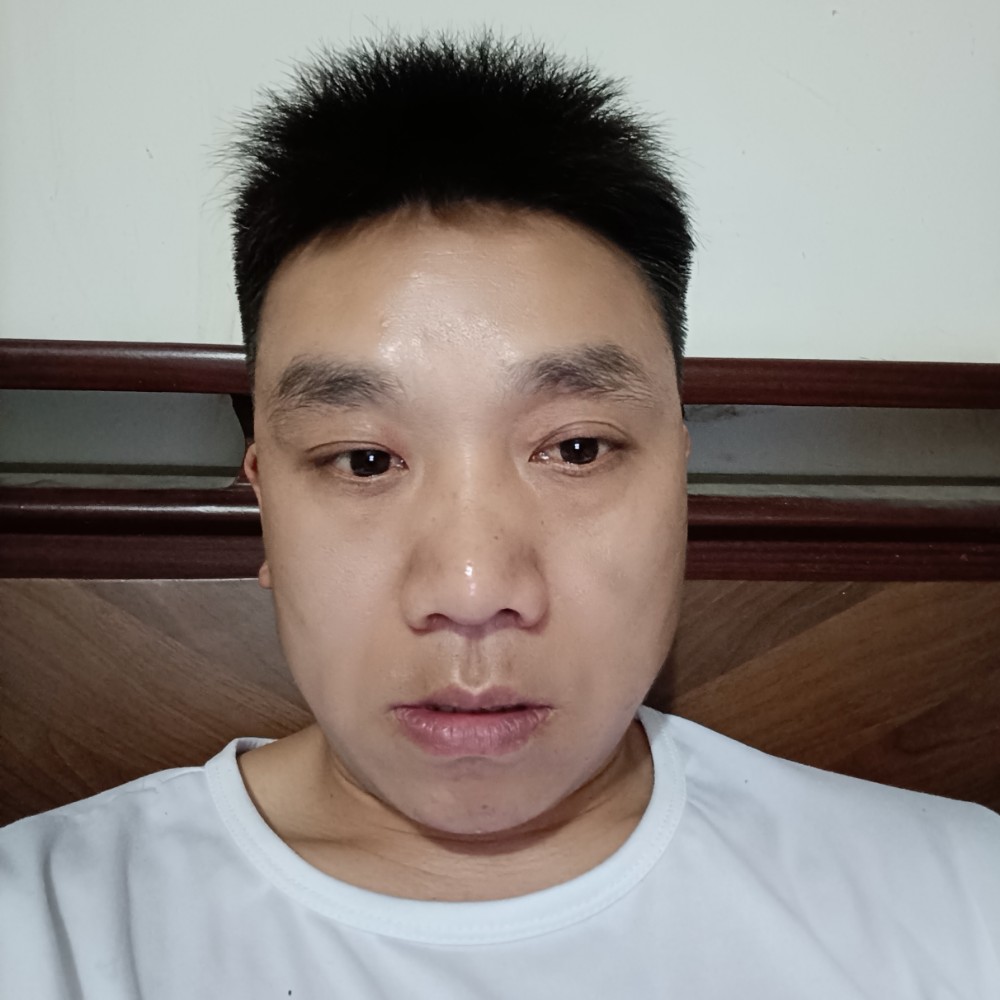 小鸽子给无限的照片