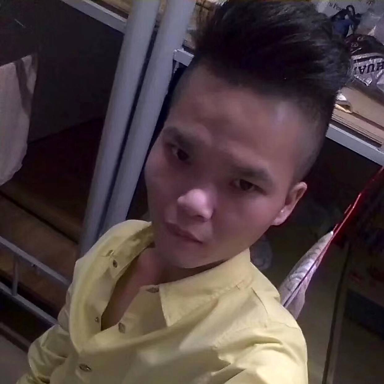 含羞草回眸痴情的照片