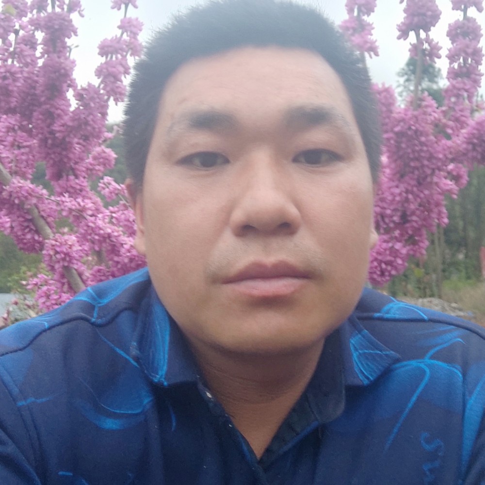 糊涂翅膀520的照片