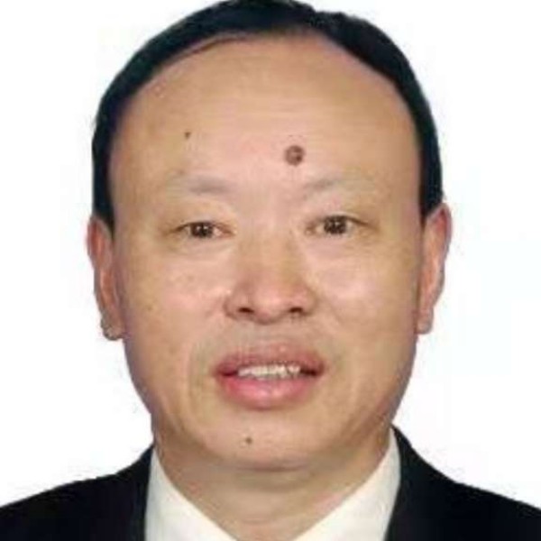 小天鹅拾忆漠然的照片