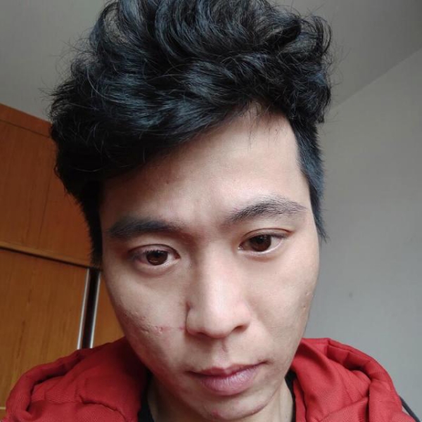 幽默蹙眉大雁的照片