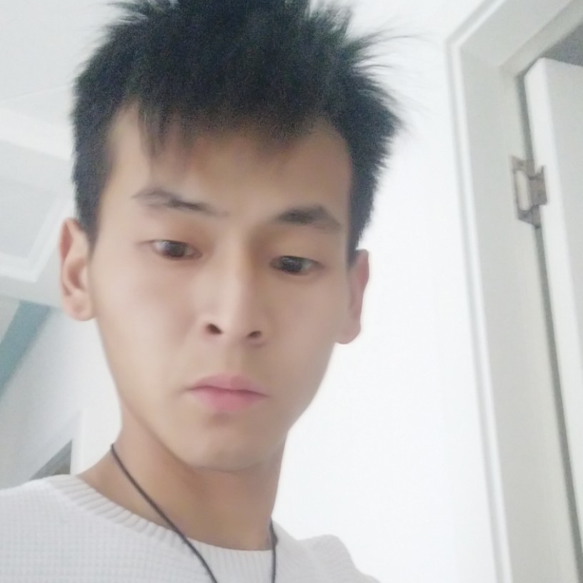 长颈鹿用寂灭的照片