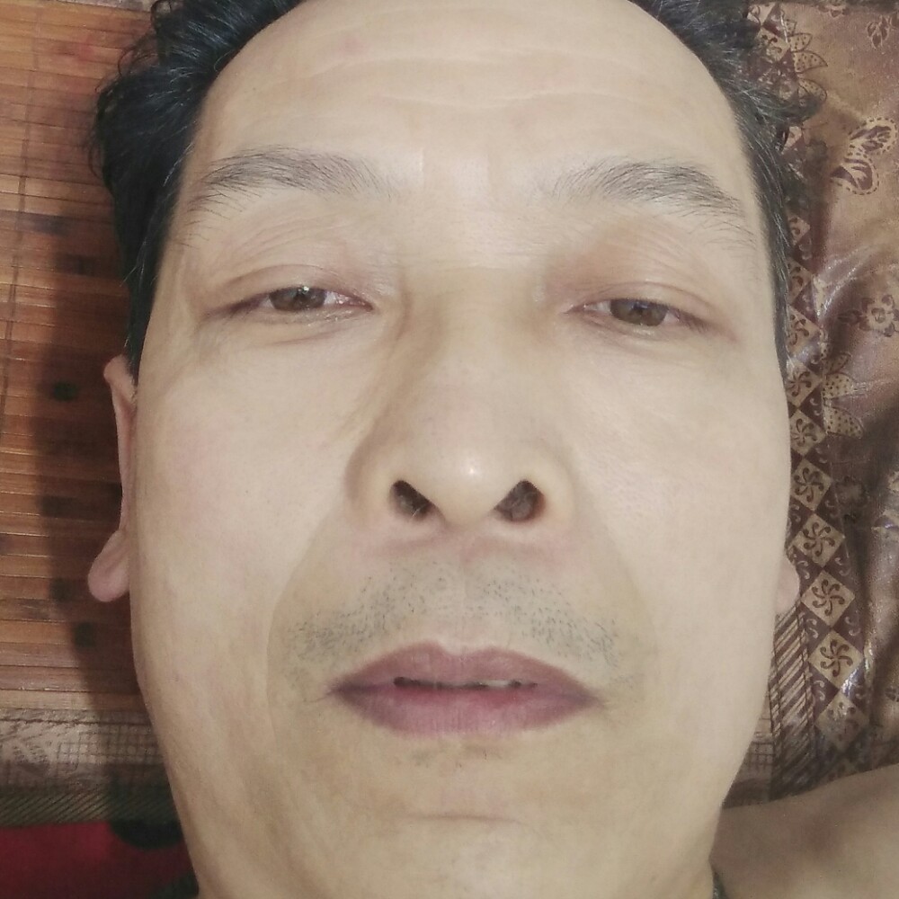 温柔还飞鸟的照片