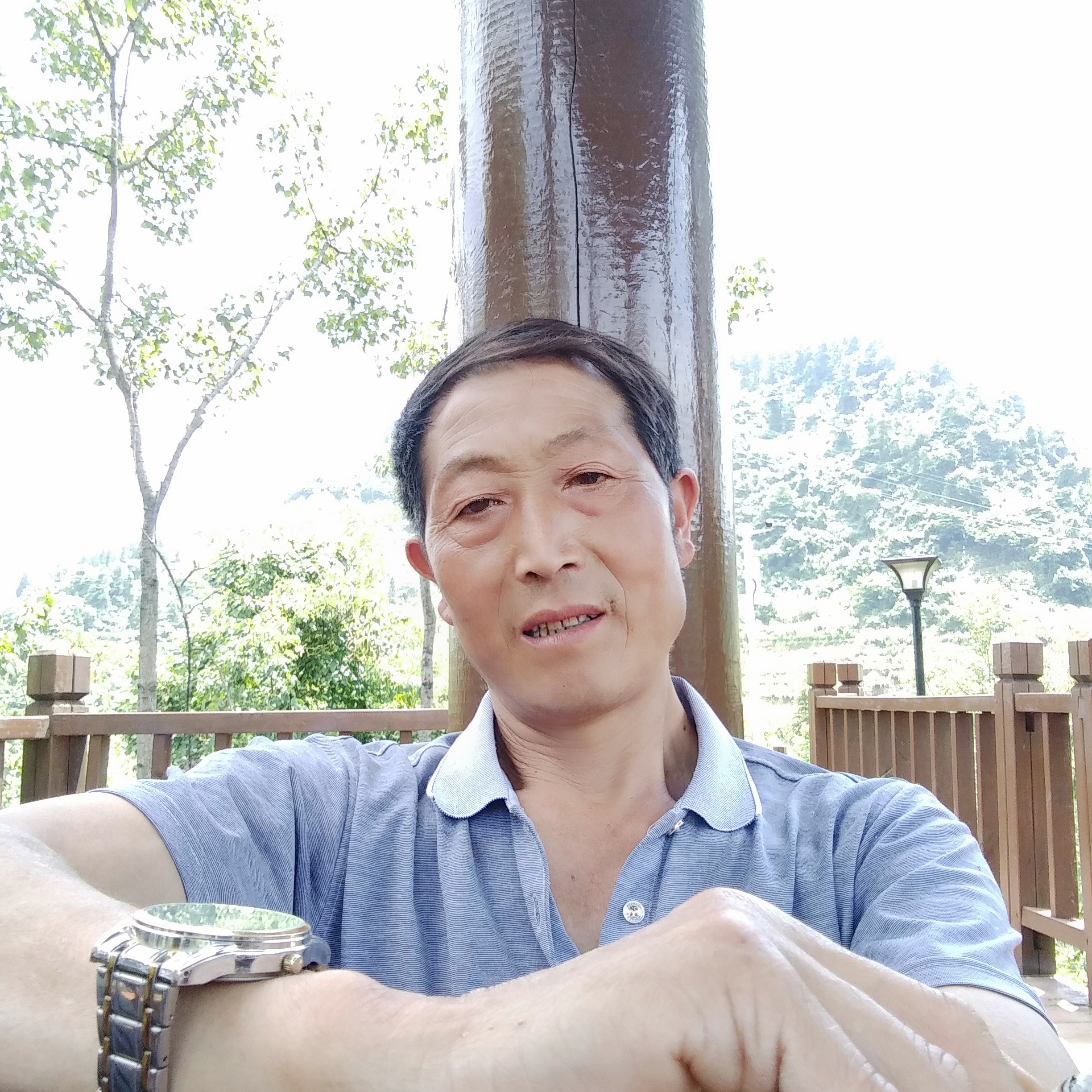 陌颜说香蕉的照片