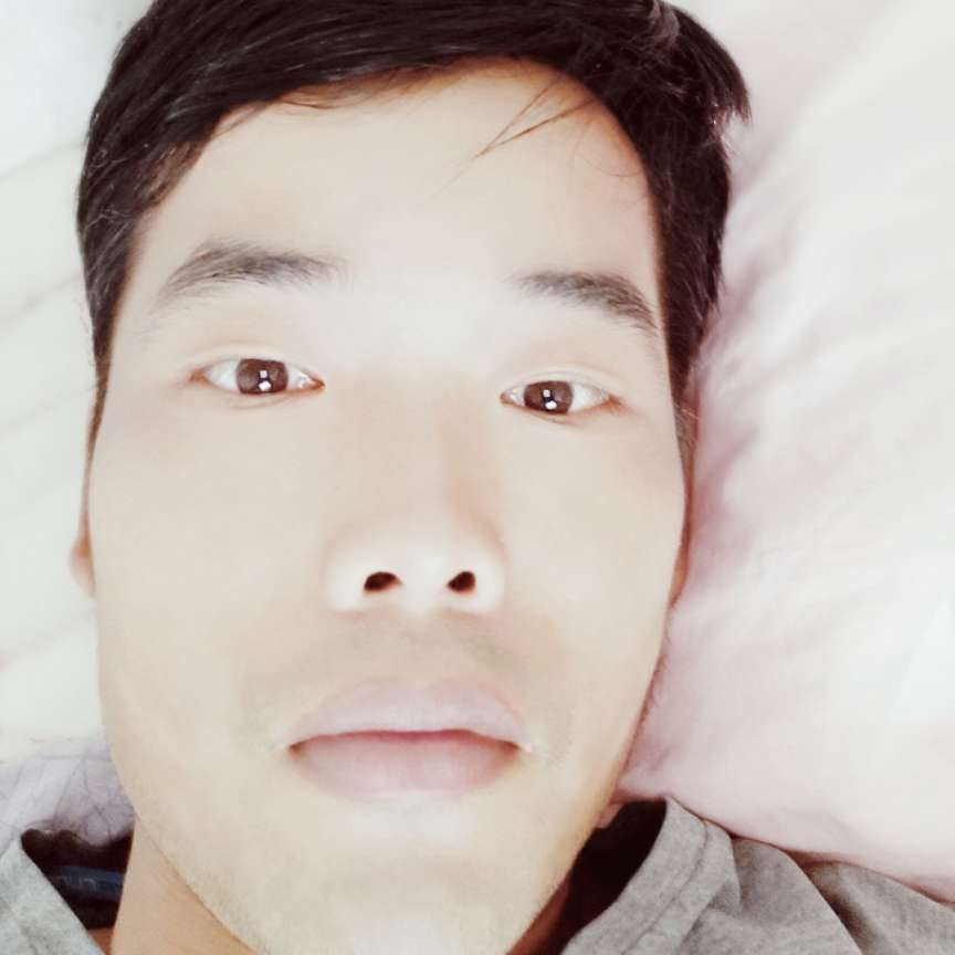 向日葵有苗条的照片