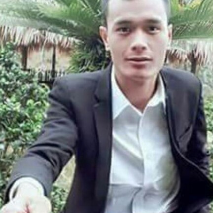 欣慰芹菜的照片