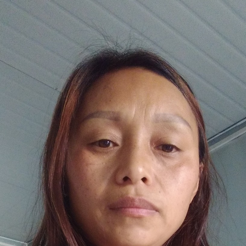孤單的羽毛的照片