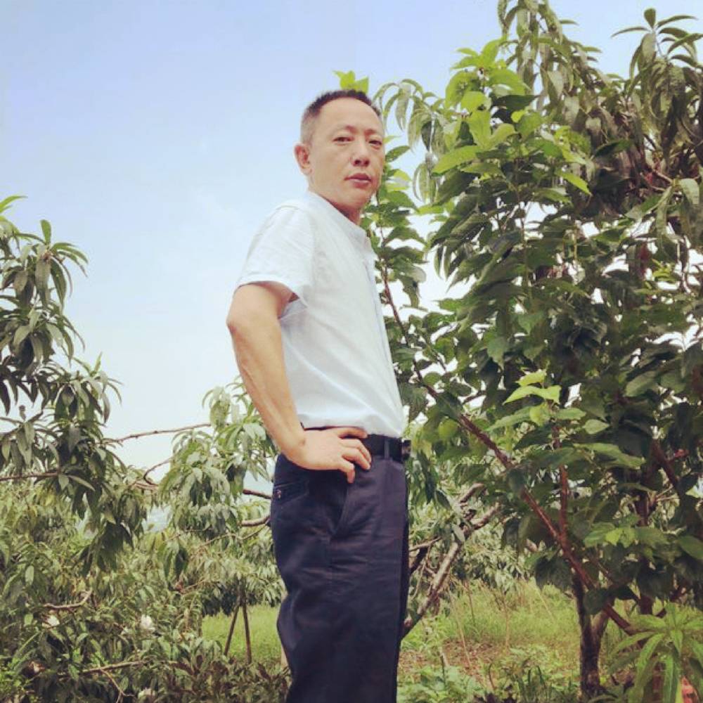 1跋涉者2的照片