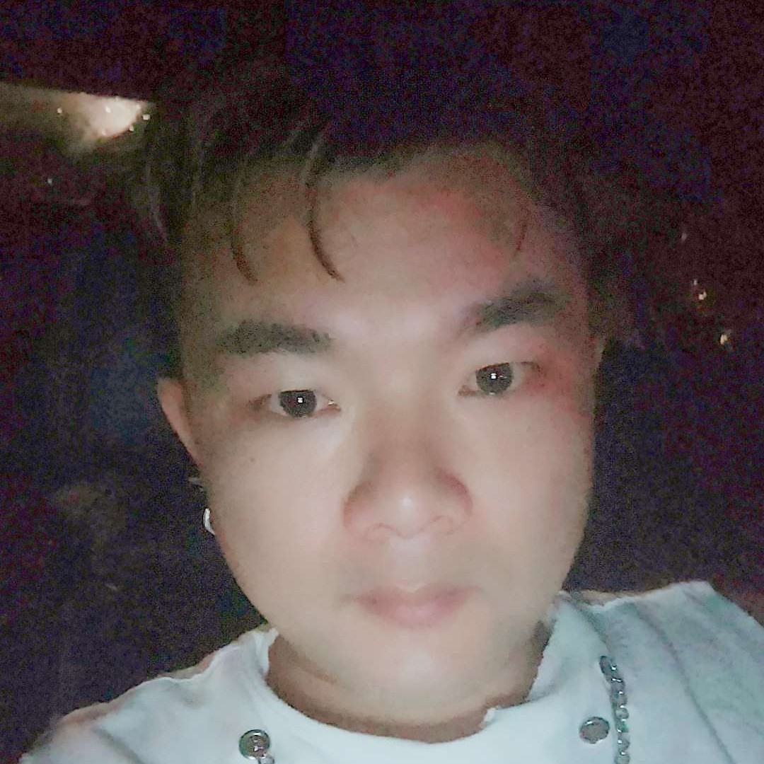 仰鸽的照片