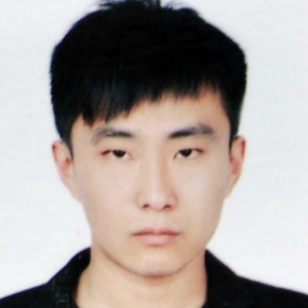 鲤鱼路灯的照片