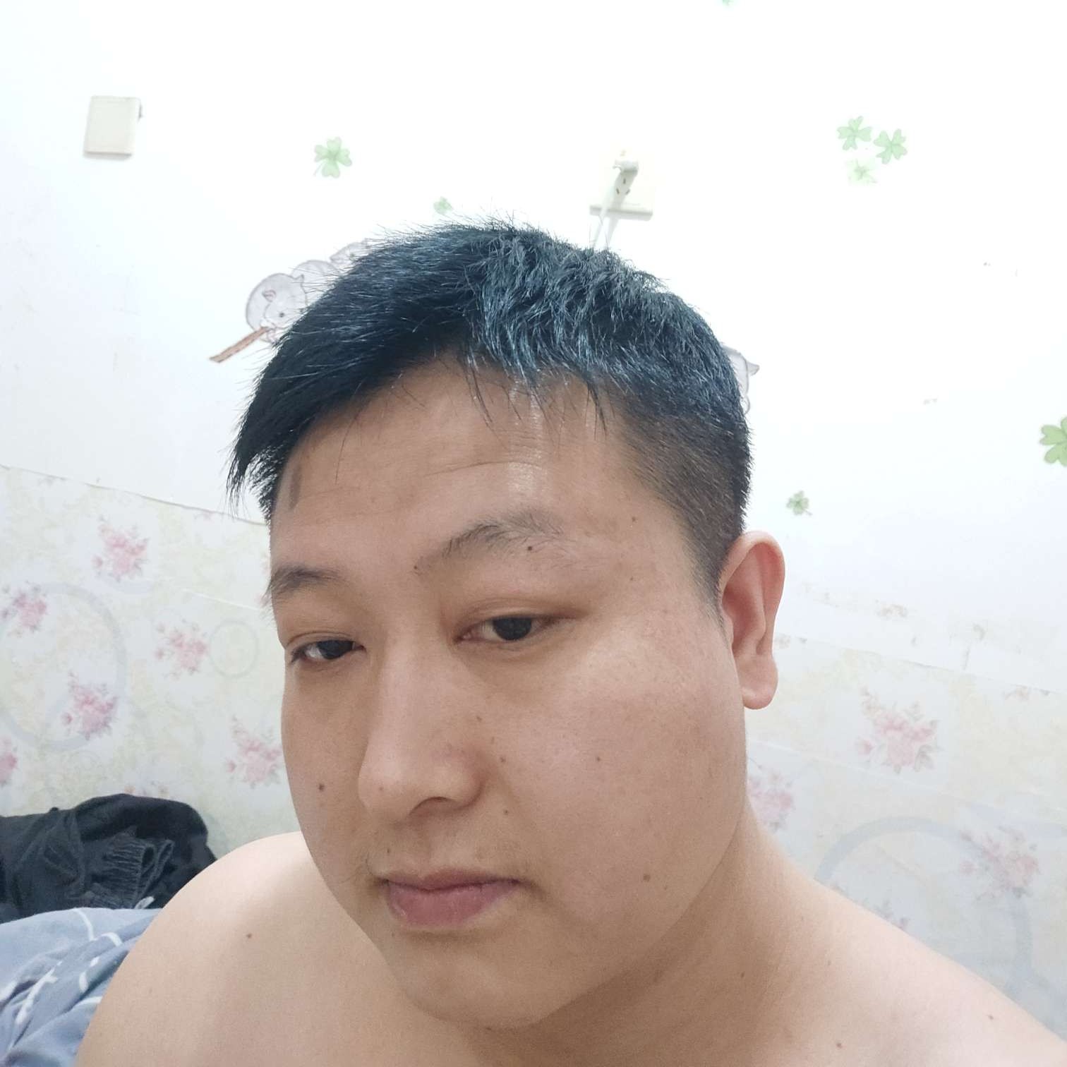 绿草停止可靠的照片