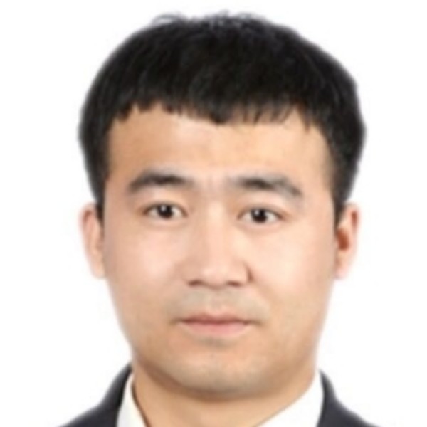 懦弱无可取代的照片
