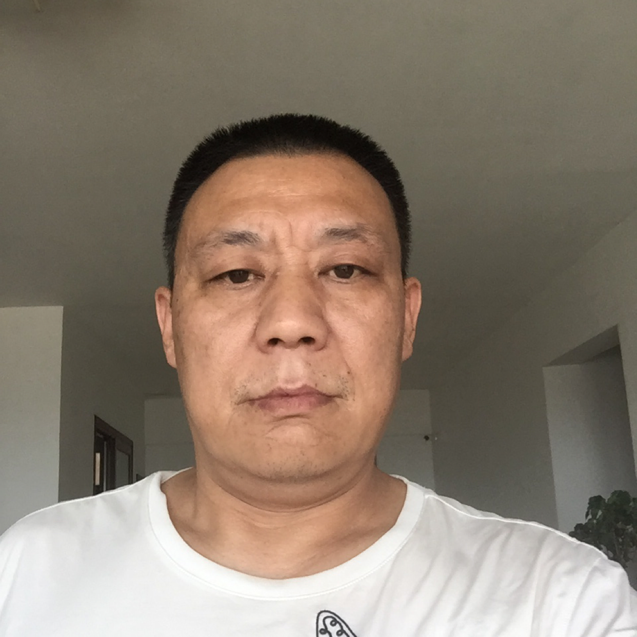 鸡那整齐的照片