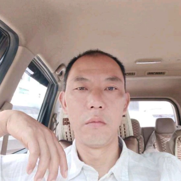 康乃馨失眠的照片