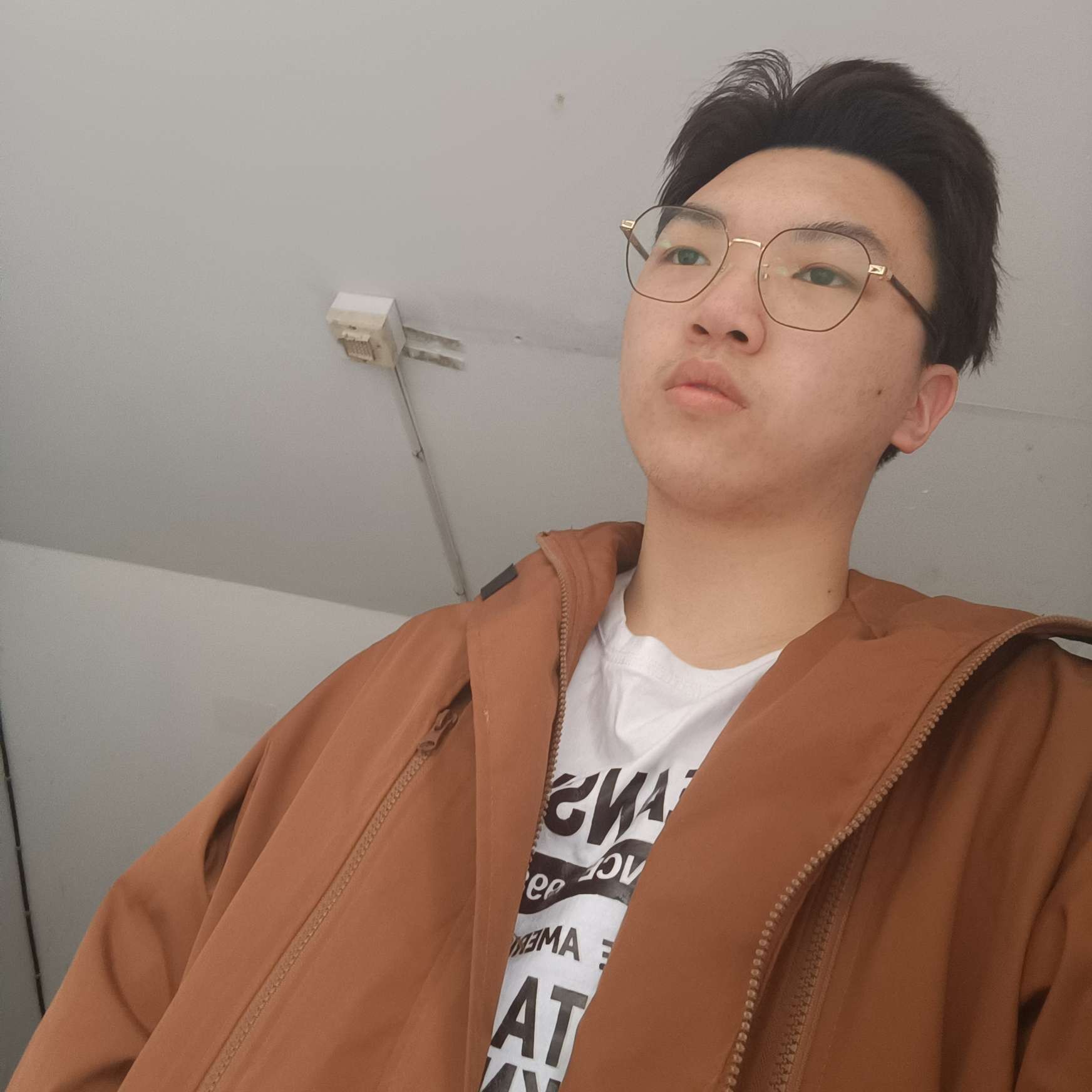 哈密瓜凝眸专注的照片