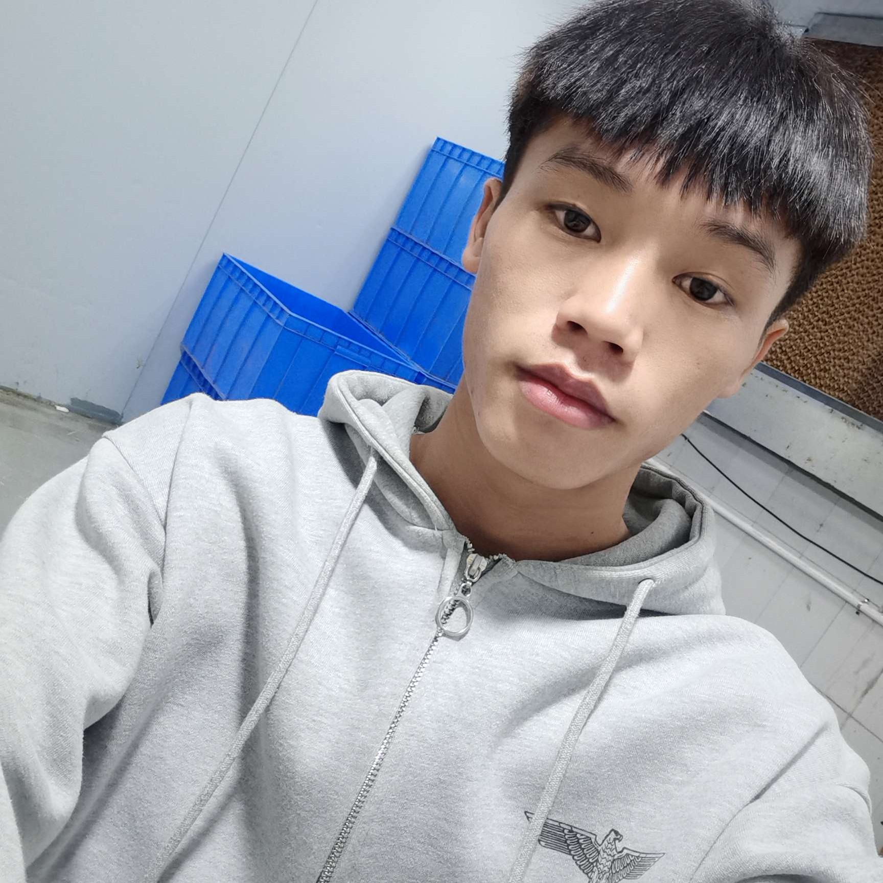 可靠停止醉月的照片