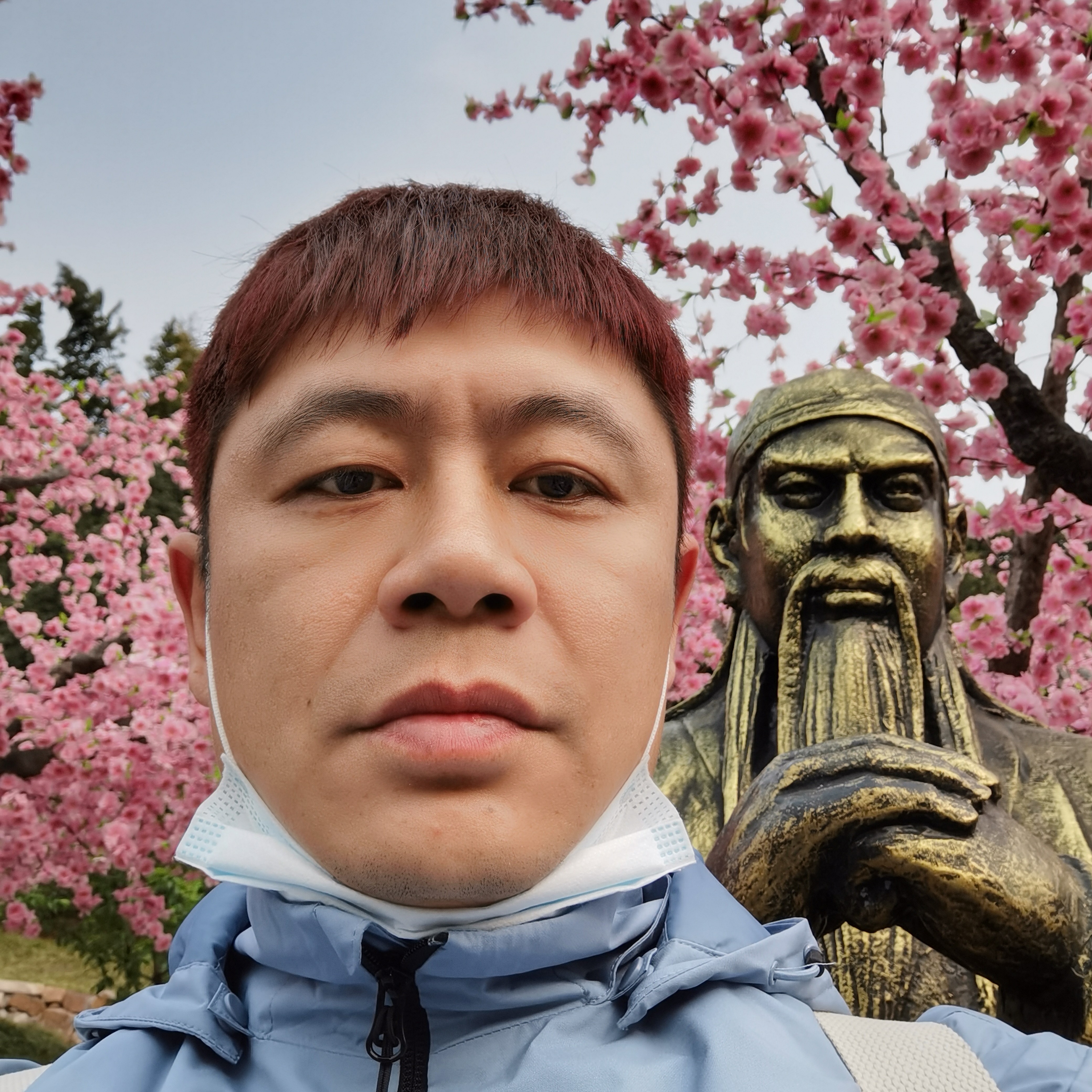 星星挽手高挑的照片