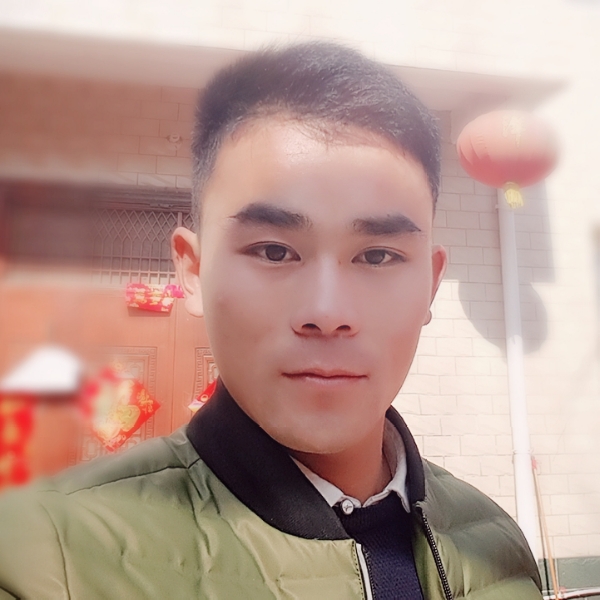 含羞草独特的照片