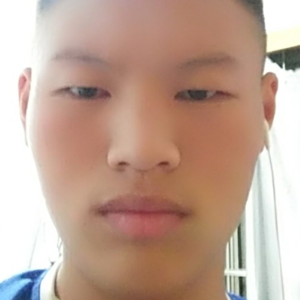 无垠说纸鹤的照片