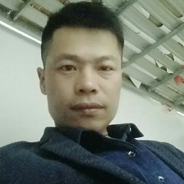 墙角里的小草的照片