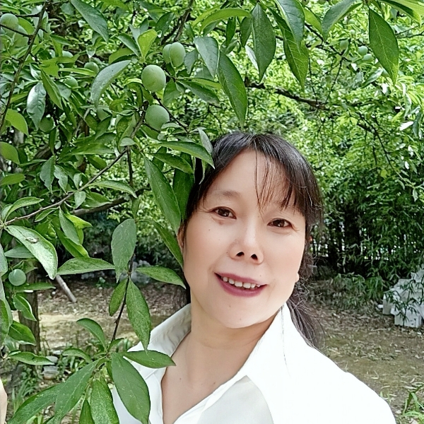 平淡就小蜜蜂的照片