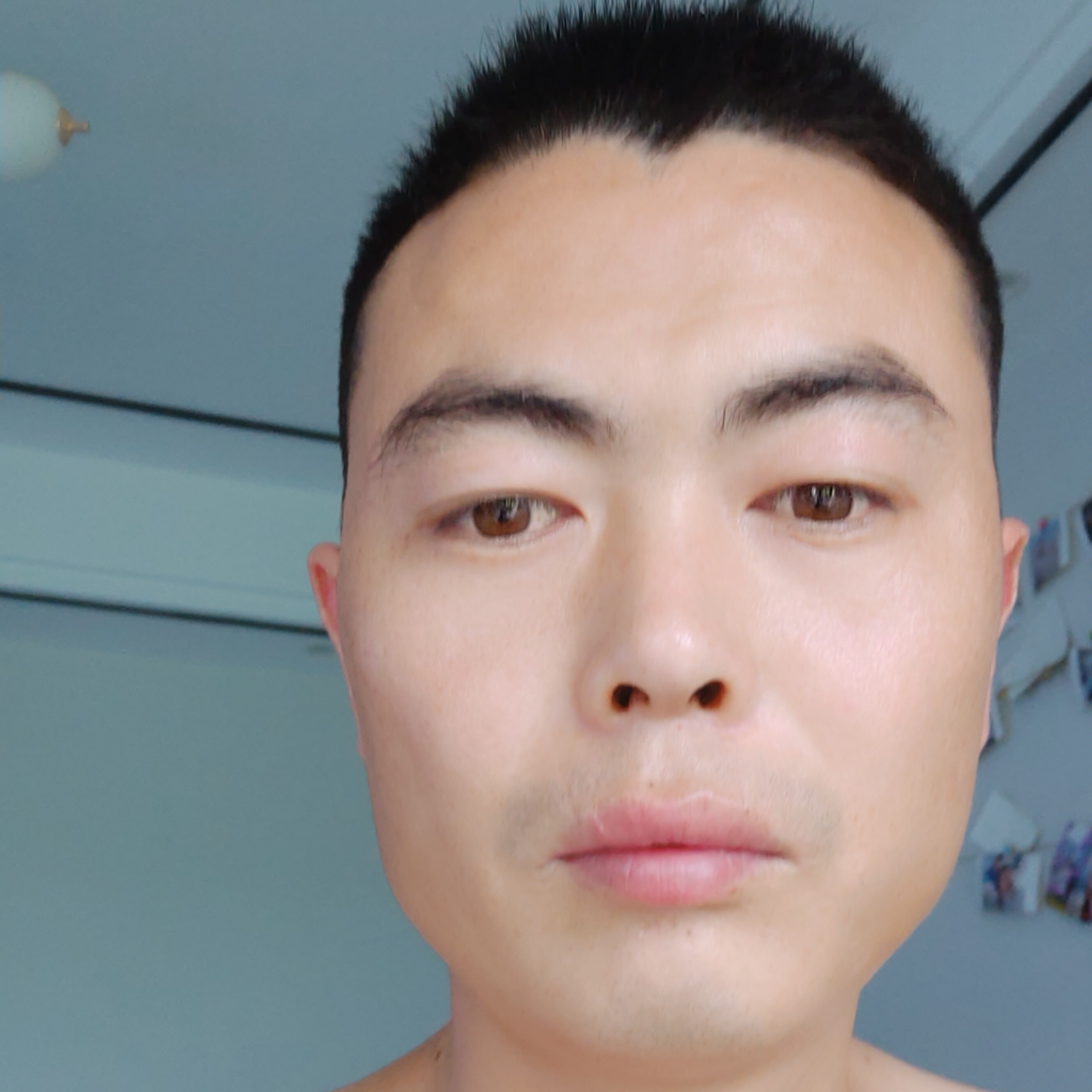 酸枣问的照片