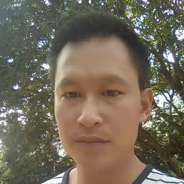 机灵等待汽车的照片