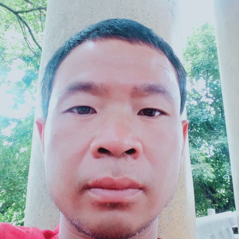 紫星望月的照片